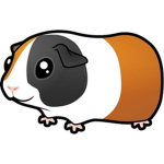 Join if u have a guinea pig