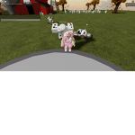 for the cool cows