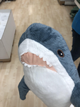 sharky sec group