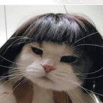 UnicornsAreReal1