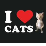 lollkitty