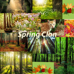 ' Spring Clan '