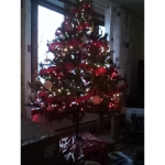 A beautiful Christmas tree