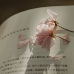 不置可否