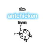 Team AntChicken