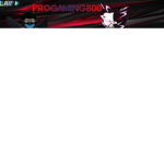 Progaming800 fan group