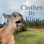 Clothes by Eline