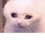 L_e_x_i_e