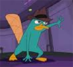 Perry the platypus