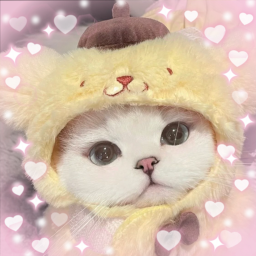 ,, . ; ☆
