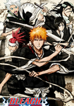 The Bleach Hood