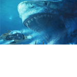 The Meg fam