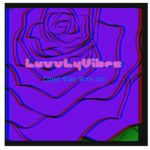 LuvvlyVibez