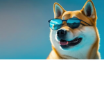 The gifted doge group