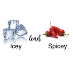 IcY AnD SP1Cy