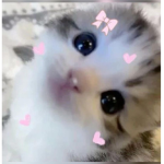 ! kwutiie