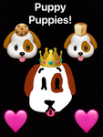 Puppy puppies!