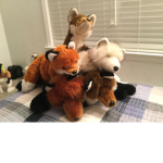 The fox gang of ROBLOX
