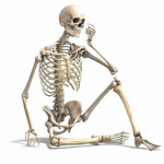 Squidward Skeletons
