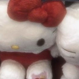 ˚୨୧⋆｡˚ ⋆