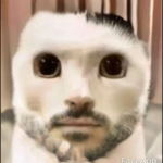 Hulkmankyle