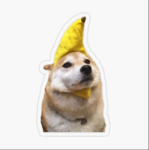 the doge mans