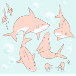 Sharkie Aesthetics!