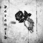 Paranoid Studio
