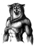 the lone wolves of T.R.R.S and PUNKD