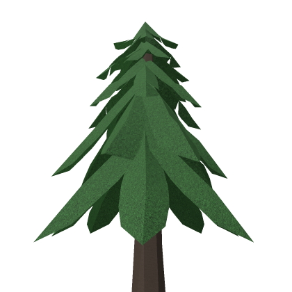 Tall Pine Tree