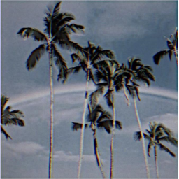✧