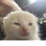 Jan :D