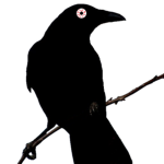 Mad Raven Productions