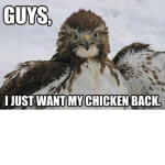 Dinochickenhawk fans