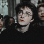 #Dumbledore‘s army
