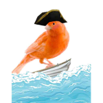 Orange Bird Pirates