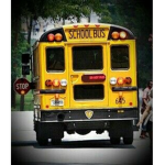 Southwest Florida bus services