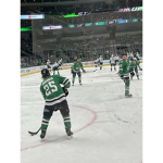 Dallas stars group, NHL