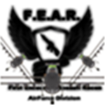 F.E.A.R. SPECIAL TEAM