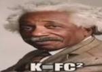 fried limbs