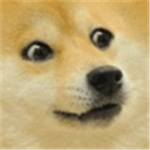 Doge fanz clubz