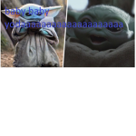 the baby yoda team