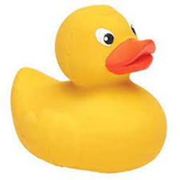 Duckman hangout