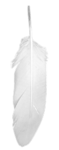 Forsaken Store