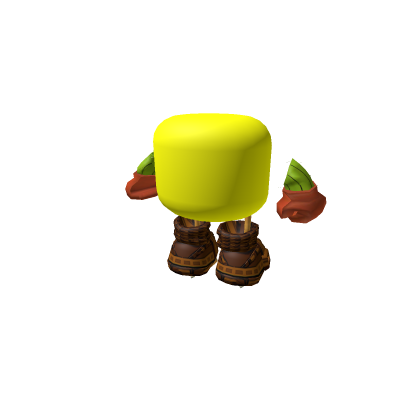 pet