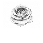 Rose designs (RD)