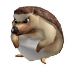 Hedgehog studios!