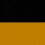 The-Empire-of-Austria