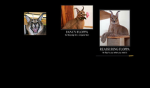 Hecker offical fan groub