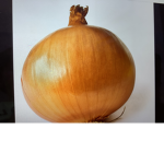 Onion Kingdom